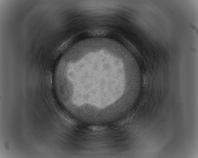 X0000096940733200803071005