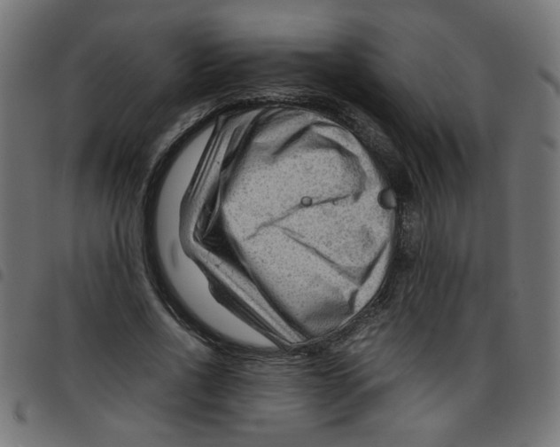 X0000096940734200803071005