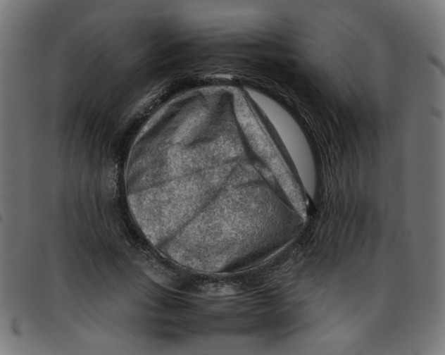 X0000096940735200803071005