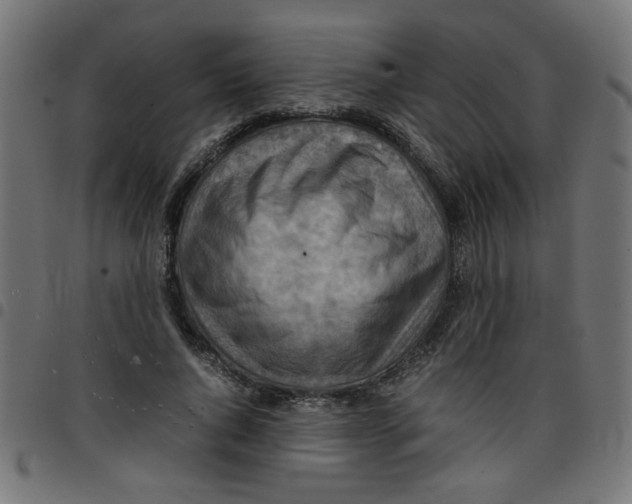X0000096940736200803071005
