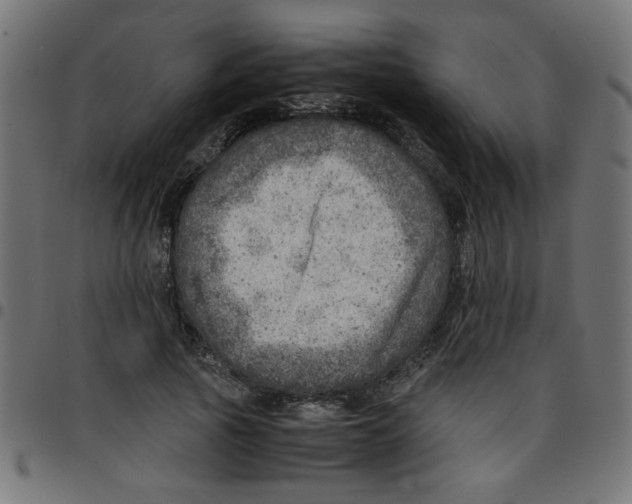 X0000096940737200803071005