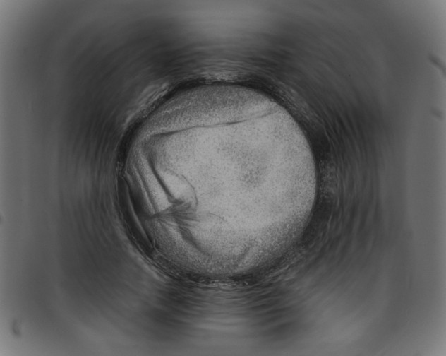 X0000096940738200803071005