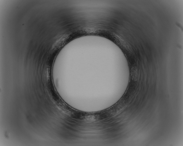 X0000096940740200803071005