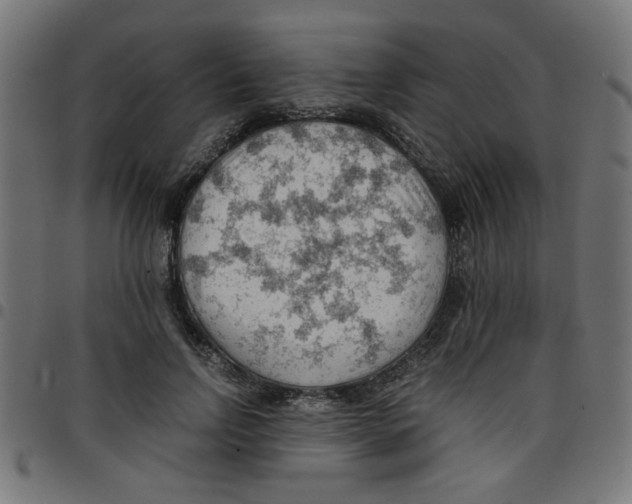 X0000096940742200803071006