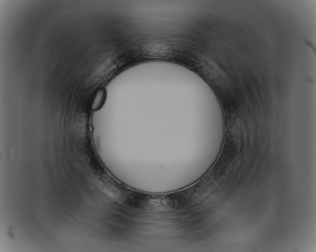X0000096940744200803071006
