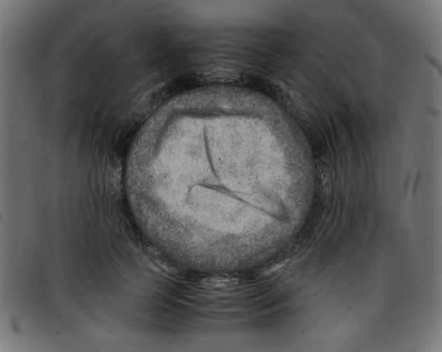 X0000096940745200803071006