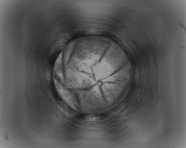 X0000096940746200803071006
