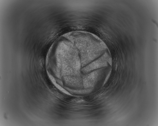 X0000096940747200803071006