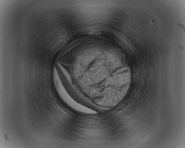 X0000096940748200803071006