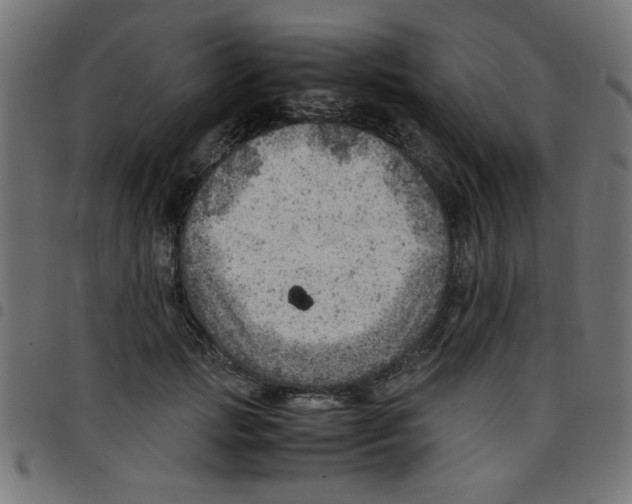 X0000096940749200803071006