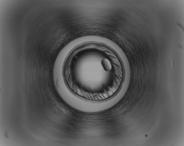 X0000096940750200803071006