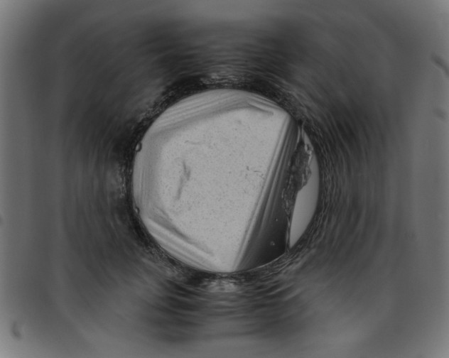 X0000096940751200803071006