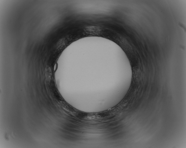 X0000096940752200803071006