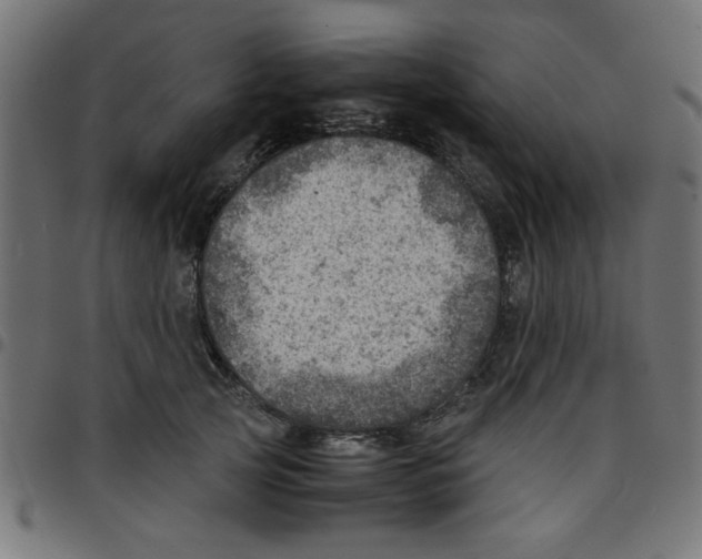 X0000096940753200803071006