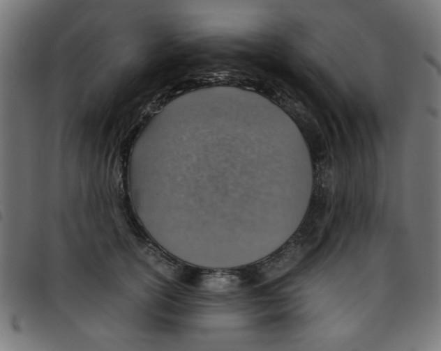 X0000096940754200803071006