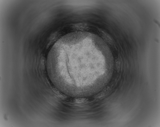 X0000096940757200803071006