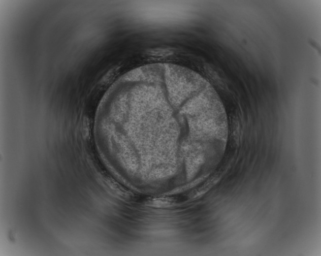X0000096940758200803071006