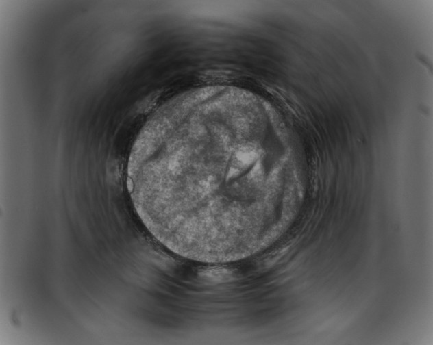 X0000096940759200803071006