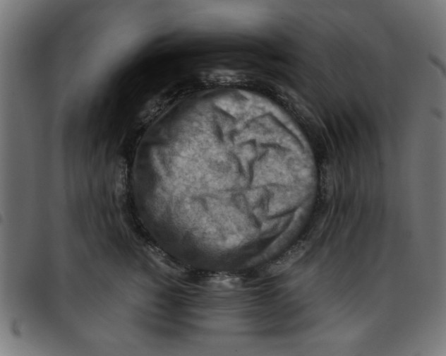 X0000096940760200803071006