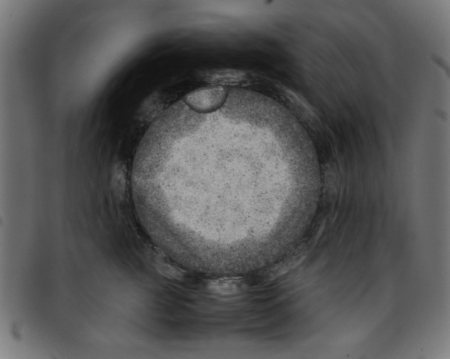 X0000096940761200803071006