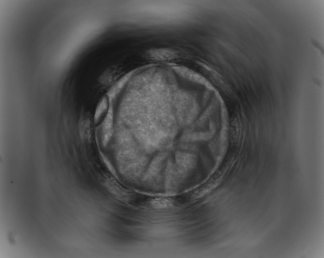 X0000096940762200803071006