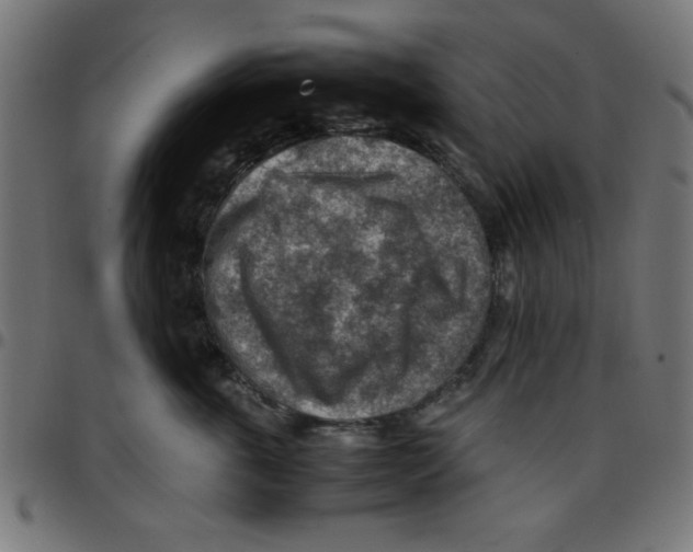 X0000096940763200803071006