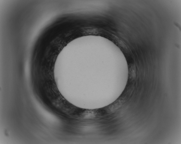 X0000096940764200803071006