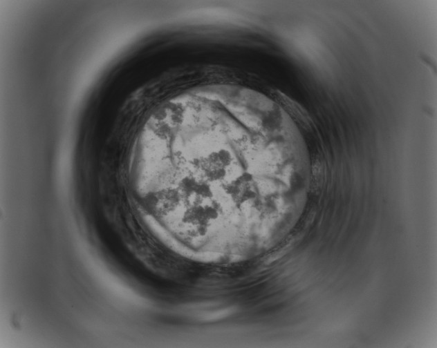 X0000096940765200803071006