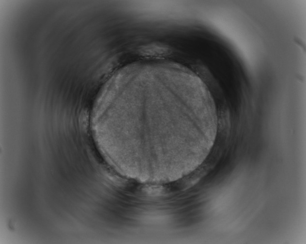 X0000096940767200803071006