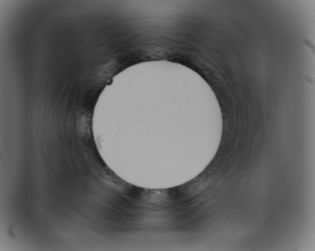 X0000096940768200803071006