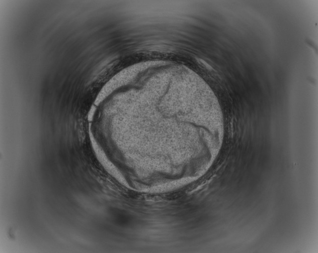 X0000096940774200803071005