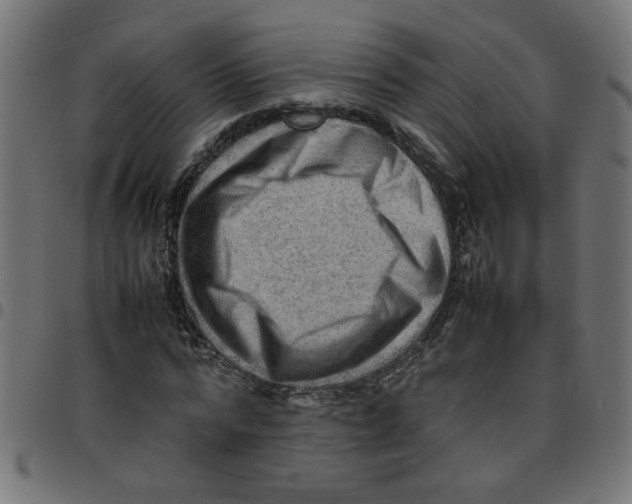 X0000096940776200803071005