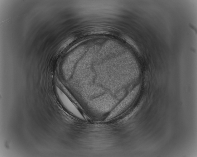 X0000096940777200803071005
