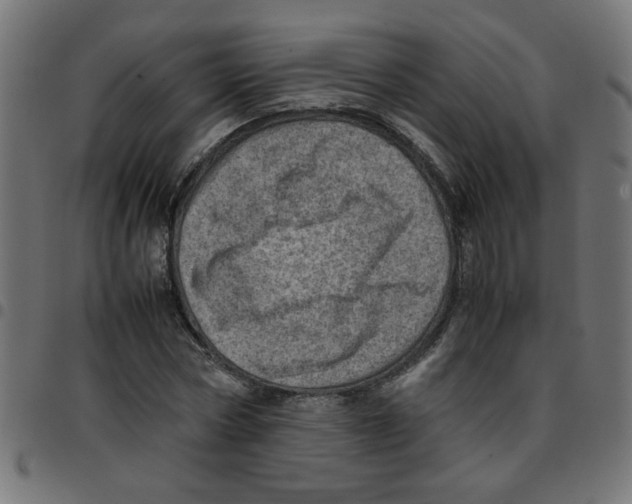 X0000096940778200803071005
