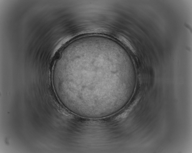 X0000096940781200803071005