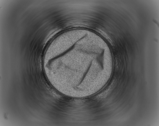 X0000096940782200803071005