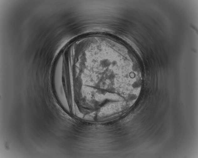 X0000096940783200803071005