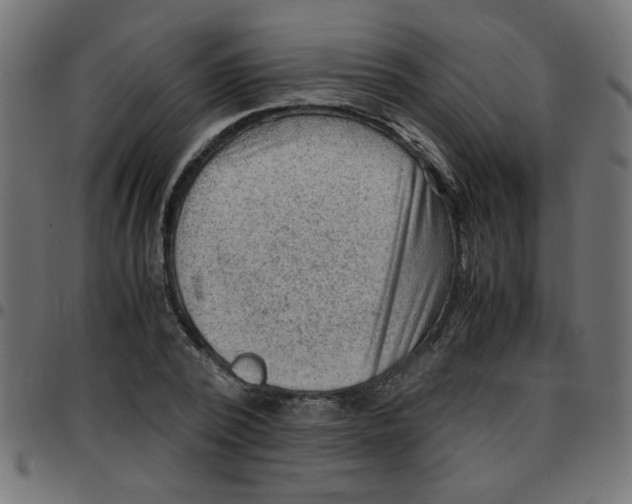 X0000096940784200803071005