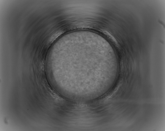 X0000096940785200803071005