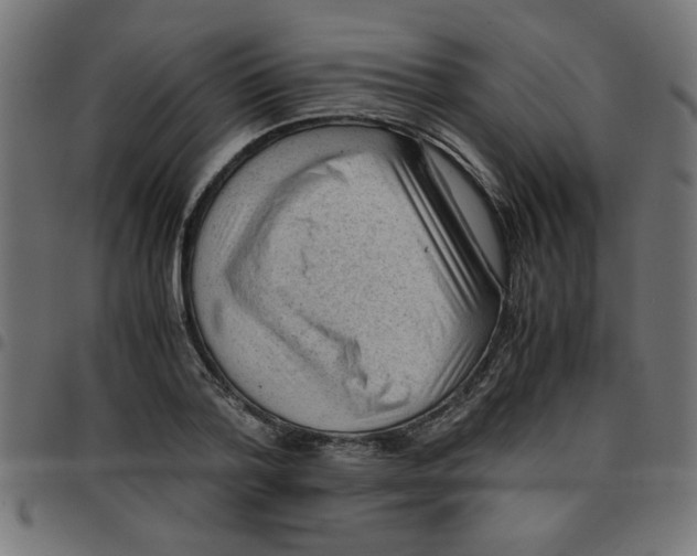 X0000096940788200803071005