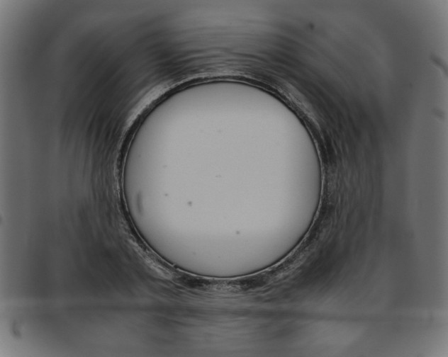 X0000096940789200803071005