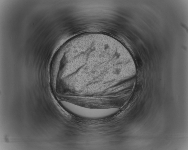 X0000096940795200803071005