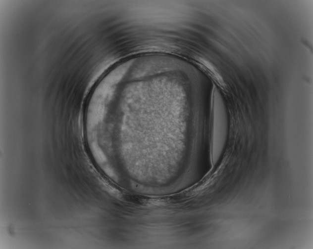 X0000096940796200803071005