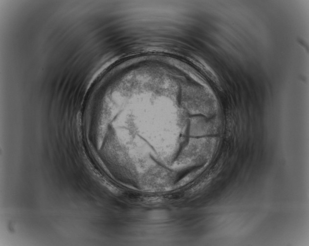 X0000096940798200803071005