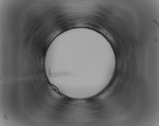 X0000096940801200803071005