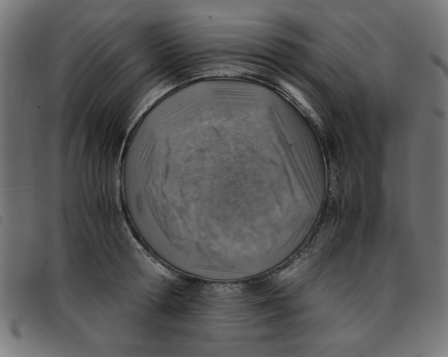 X0000096940802200803071005
