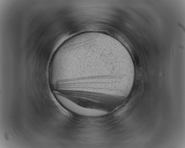 X0000096940803200803071005