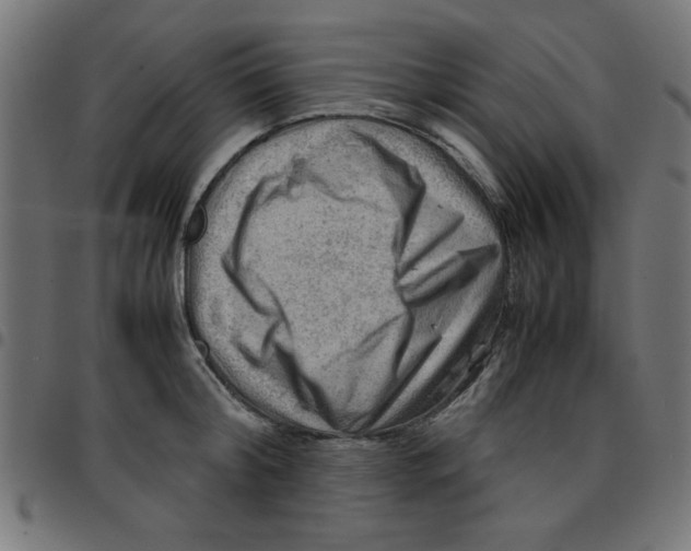 X0000096940804200803071005