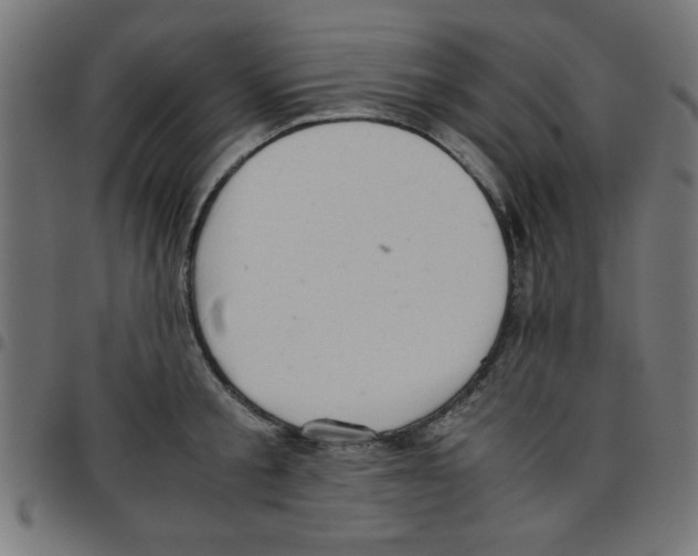 X0000096940805200803071005