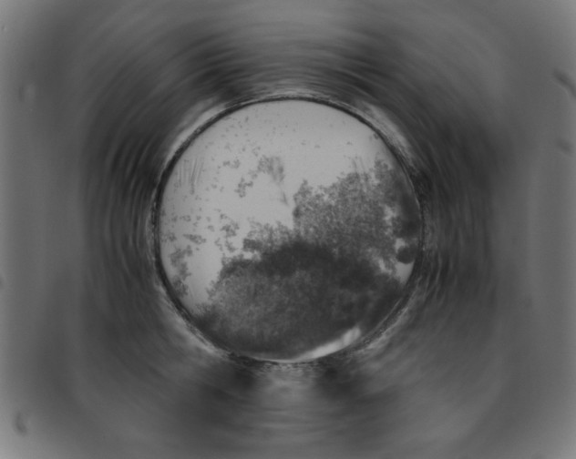 X0000096940806200803071005